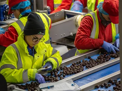 mansfieldsCanWeHelp.original